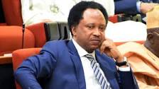 APC N100m Presidential form, root of all problems – Shehu Sani