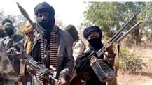 Boko Haram Terrorists Live On Drugs, Have Sex Like Horses – Woman Narrates Her Experience In Sambisa