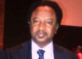 Shehu Sani Loses PDP Governorship Primary After Vowing Not To Pay Delegates